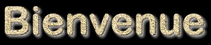 Bienvenue